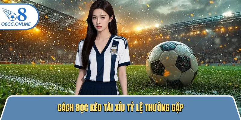 Cách đọc tài xỉu kèo bóng đá tỷ lệ phổ biến nhất