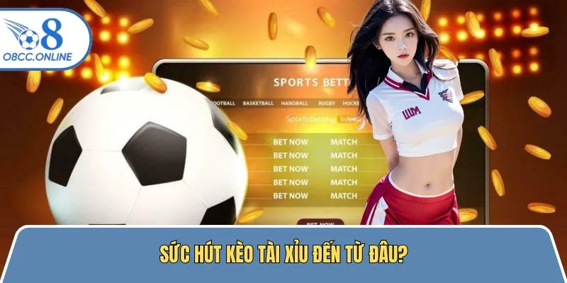 Ưu điểm thu hút người tham gia của kèo bóng đá tài xỉu